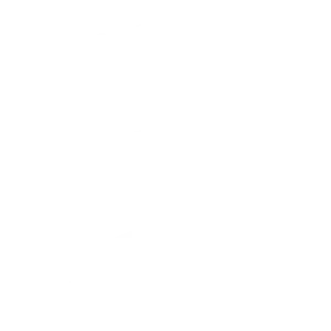 Artist